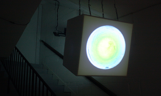 ‘iridescent self’ installation photo from ‘sho-zyg’