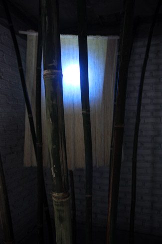 'multitudinous entity' installation photo form ‘3rd Space’